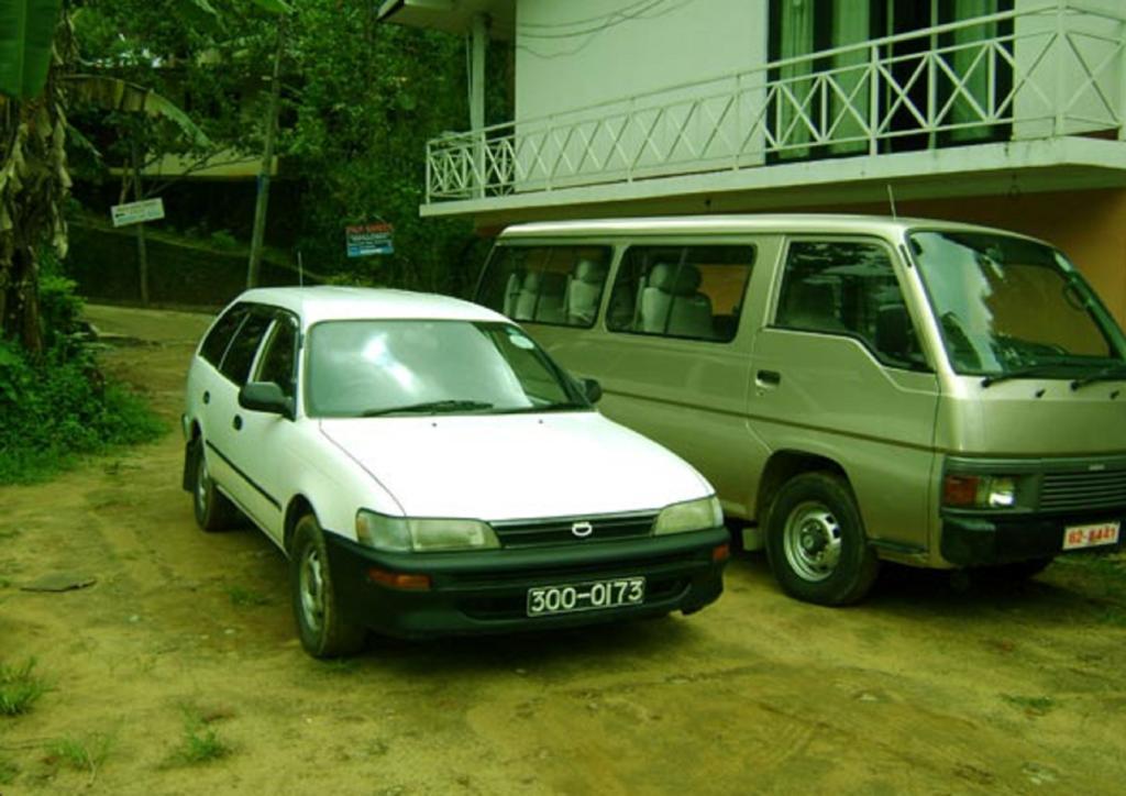 Palm Garden Home Stay Deiyannewela Ngoại thất bức ảnh