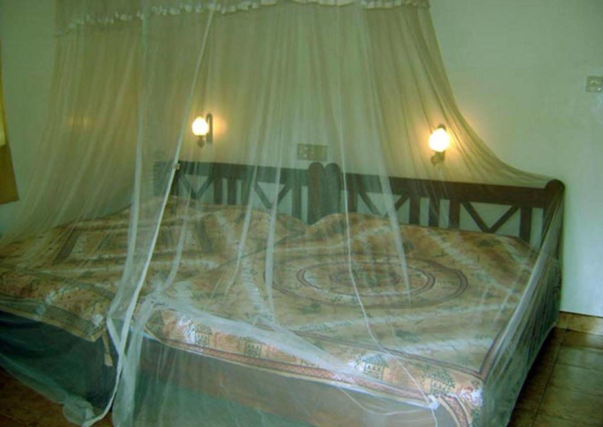 Palm Garden Home Stay Deiyannewela Ngoại thất bức ảnh
